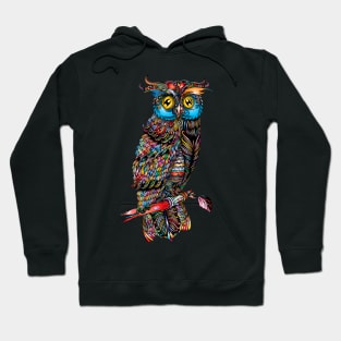 Magic Owl Hoodie